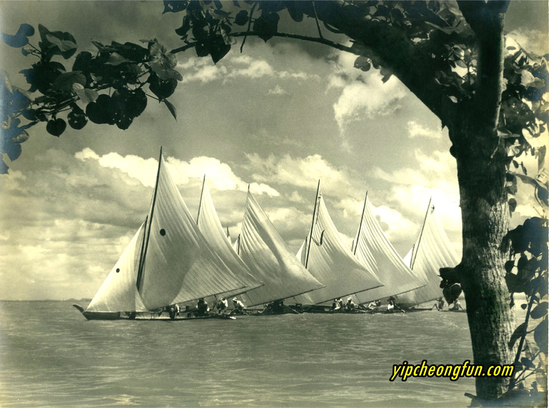 White Sails